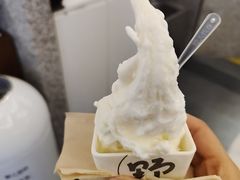 -野人先生Gelato(上海长宁龙之梦店)