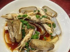 -红灯笼龙凤饭店(宁波老字号店)