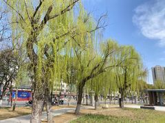 -咸阳湖景区-古渡公园