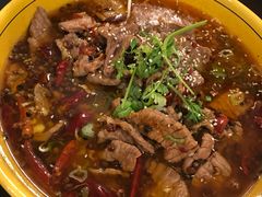 -熊猫川菜馆 panda chine