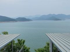 -望湖烤鱼