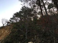 -牛鱼嘴原始生态风景区-停车场