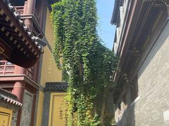 -四门塔风景区