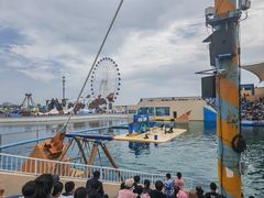 -秦皇岛乐岛海洋王国