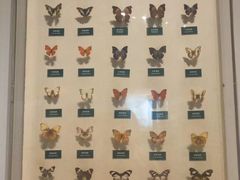 -陕西自然博物馆