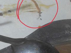 -袁记串串香(世欧王庄店)