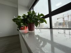 -华润·凯旋名邸