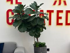 -WeWork中国(三里屯11号社区店)