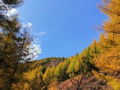 -苏木山森林公园