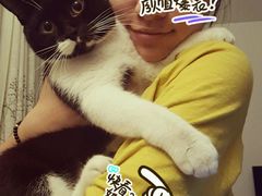 -创凡宠物医院·骨专科  猫科中心(西乡分院)