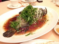 照片&nbsp;545-镛记酒家