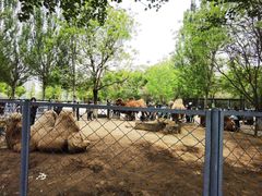 -长白岛森林公园