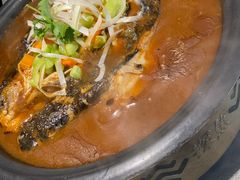 -探鱼·鲜青椒爽麻烤鱼(苏宁广场店)