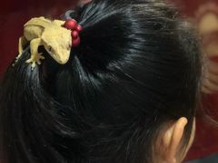-藦茜花园宠物主题亲子互动体验馆(国顺东路店)