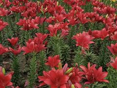 -长春公园(普阳街道)