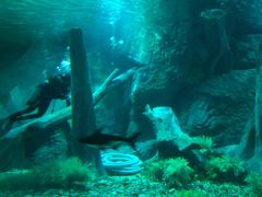 -福州罗源湾海洋世界旅游区