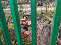 -一寨两国风景区