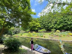 -上海共青森林公园