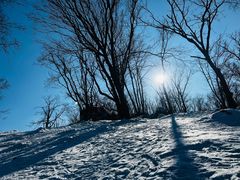 -中旅松花湖滑雪场