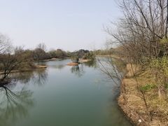 -西溪国家湿地公园