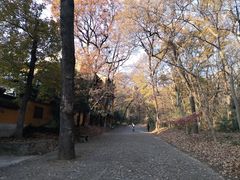 -灵谷景区