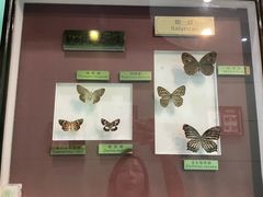 -上海昆虫博物馆
