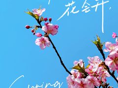 -上海滨江森林公园