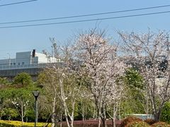 -外高桥保税区南(地铁站)