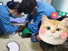 -小伙伴宠物医院•急重症转诊中心·老年专科·犬猫全科(北大街总院)