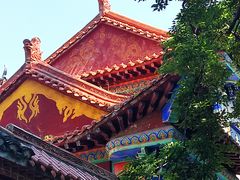 -皇藏峪国家森林公园