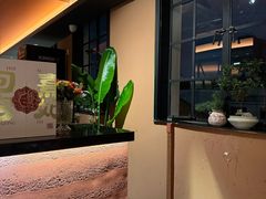 -滇野云南野生菌餐厅(陕西南路店)