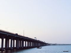 -宝安西湾红树林湿地公园