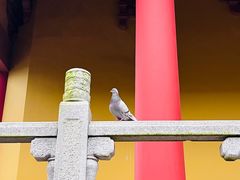 -博鳌禅寺
