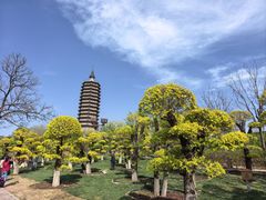 -西海子公园