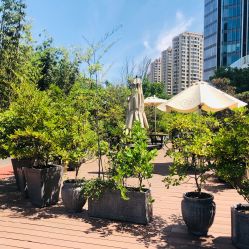 -优加东京秀烫染SALON