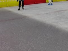 -松江大学城体育馆滑冰馆