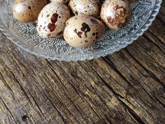 -聚源号(鸣鹤古镇店)