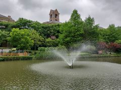 -新江湾城公园