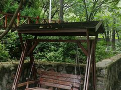 -大岭沟猕猴桃谷风景区
