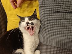 -路易时光(蕴川路店)