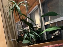 -蜜桃餐厅·伴山(湖滨商业街店)