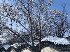 -北京鹫峰国家森林公园