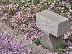 -烟台山景区