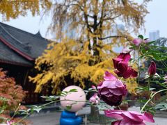 -古大圣慈寺