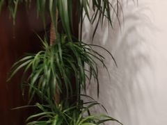 -千滋百味·醉江澜花园餐厅(街道口店)