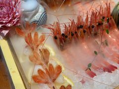-月龍吟(朝龙汇店)