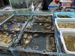 -登州市场(登州路店)