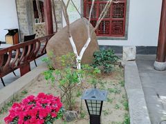 -不倒翁·徽天下名菜楼(马鞍山路店)