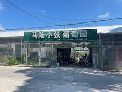 -马陆小张葡萄园农家乐