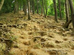 -火炉山森林公园